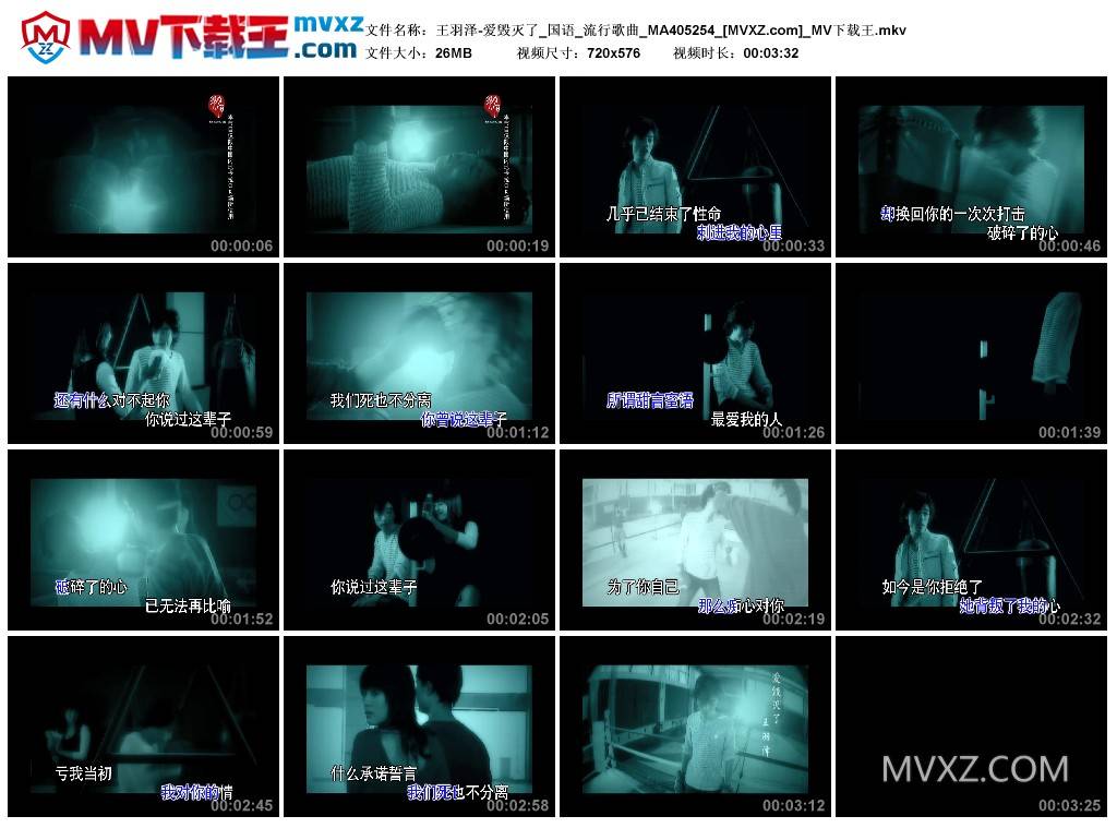 王羽泽-爱毁灭了_国语_流行歌曲_MA405254